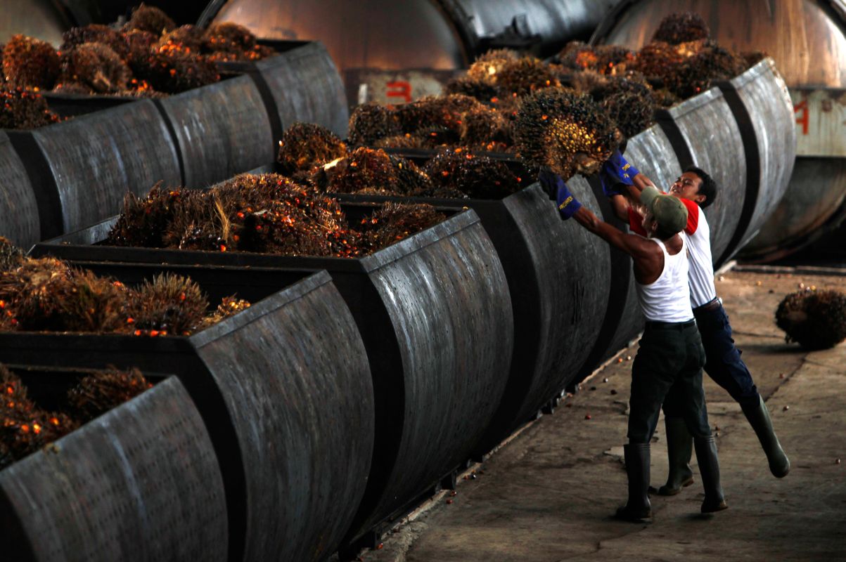 India's palm oil imports from Malaysia up 21% in September